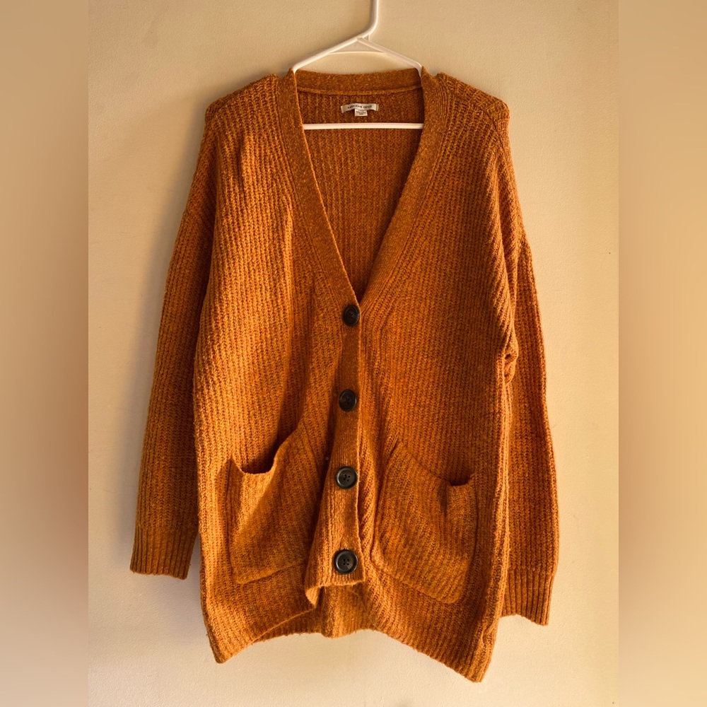 American Eagle Cardigan